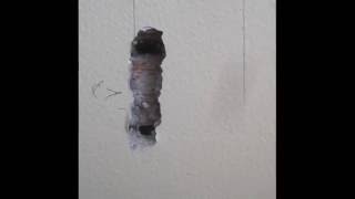 Install a wiring enclosure in plasterandlath wallm4v [upl. by Ettennyl]