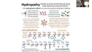 DMSO biochemistry [upl. by Kristen]