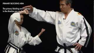 How to perform Twin Forearm Block [upl. by Gilead461]