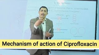 Mechanism of action of Quinolines آلية عمل فلوروكيونيلونز [upl. by Yentihw453]