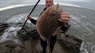 Catching Thorn Backed Rays Fishing Balcary Flat Rock With Limitless Sea Fishing [upl. by Arayc]