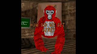 Gtag mysteries edit gorillatag gtag funnypet [upl. by Savdeep959]