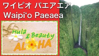 Waipiʻo Paeaea ワイピオ パエアエア（歌詞と日本語訳付き ） おだやかな大自然に包まれるここちよい曲 HULA [upl. by Renraw]