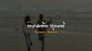 Piyabanna Ahase පියාඹන්න අහසේ  Slowed amp Reverb  Sahan Beats [upl. by Tenom]