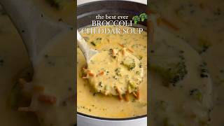 Broccoli Cheddar Soup 🥦 [upl. by Hermia]