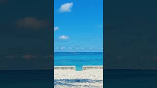 Arawak Cay Nassau Bahamas [upl. by Bernarr232]