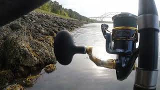 Cape cod canal fishing part 3 2023 [upl. by Nylac]