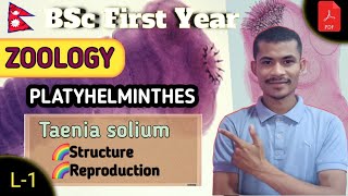 L1 Structure amp Reproduction of Taenia solium ● PLATYHELMINTHES ● ZOOLOGY ● BSc First Year ●TU [upl. by Leibarg1]