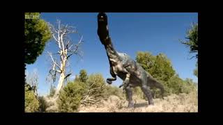 Carnotaurus vs Allosaurus [upl. by Jehiel]