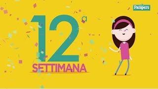 12° settimana di gravidanza [upl. by Eglantine]