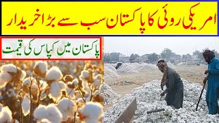 Cotton Production  Textile  کاٹن کے حوالے سے اہم اپ ڈیٹ  cottonindustry cottonratetoday [upl. by Enelrae]