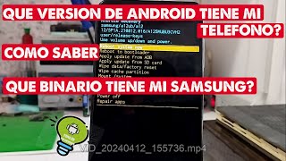 COMO SABER LA VERSION DE ANDROID Y EL BINARIO QUE TIENE MI TELÉFONO SAMSUNG 2024 [upl. by Jerol864]