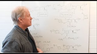 Warum zwei Methoden für die Iodierungen zum Thyroxin  Chemie der Arzneistoffe 8 [upl. by Panayiotis863]