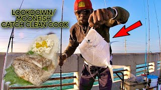 Key West Lookdown MOONFISH CATCH CLEAN COOK [upl. by Anniram765]