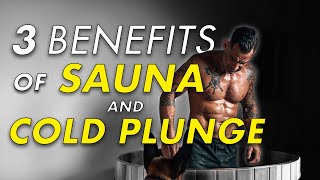 Sauna vs Cold Plunge  Why You Need Both [upl. by Talbert]