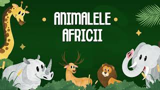 5 animale din Africa Leul Elefantul Girafa Rinocerul Antilopa [upl. by Rockel983]