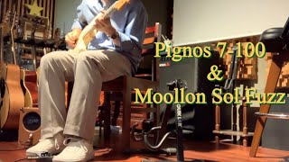 Pignose amp 7100 amp Moollon sol fuzz test [upl. by Nodnerb]