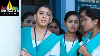 Singam Yamudu 2 Surya Action Scene at School  Suriya Anushka Hansika  Sri Balaji Video [upl. by Jarid541]