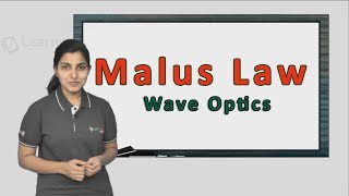 Simple explanation of Malus Law with a solved example JEE Physics XII Wave Optics [upl. by Knutson]