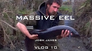 100 year old eel caught by hand [upl. by Llerret]