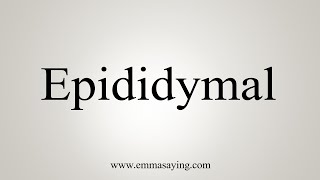 How To Say Epididymal [upl. by Zuzana213]