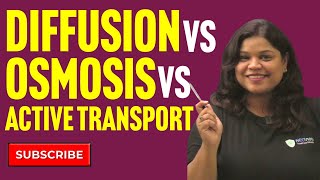 Diffusion Osmosis and Active Transport Key Differences Explained [upl. by Shriner]