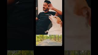 cute dogs songs new video 2024newviralvideo funny CK sagun vlogs funniestvideo funnyface [upl. by Enimsaj]