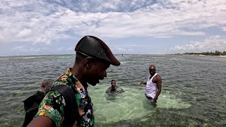 Mombasa Beach Walk Stories [upl. by Elleret]