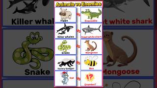 Animals and their enemies [upl. by Hillie]