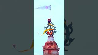 Jagannath dham I music ytshorts jagannath jag [upl. by Shimberg]