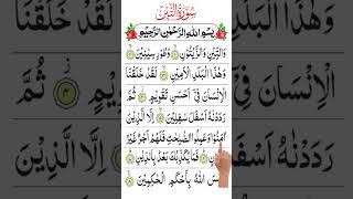 Surah 80  Surah At tin Beautiful recitation  Learn Quran [upl. by Wynn]