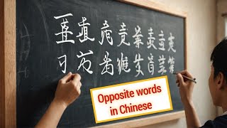 The Wild World of Chinese Opposites  Chinese and English language [upl. by Otrebogad]