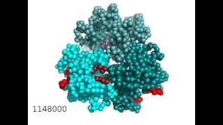 Drug export and allosteric conformational change of multidrug transporter [upl. by Harod]