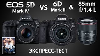 Canon 5D Mark 4 6d mark 2 и новый 85 14 L Is usm ЭКСПРЕСС ТЕСТ [upl. by Ecirrehs]