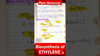 Ethylene• Biosynthesis of Ethylene Plant Hormone• Biosynthesis Cycle• Plant Physiology• csirnetmsc [upl. by Groot596]