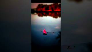 Dslr camera type photo editing tutorial👈🏻foryouinstavideophotoediting art edittutorialediting [upl. by Amle236]