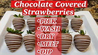 How To Make Chocolate Covered Strawberries [upl. by Amsa356]