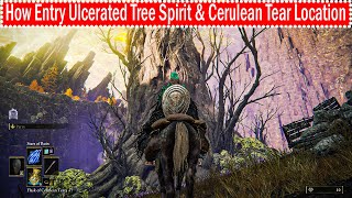 Elden Ring How Entry Ulcerated Tree Spirit amp Get Cerulean Hidden Tear Location Full Guide [upl. by Teria]