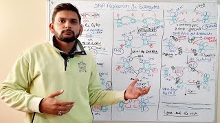 DNA Replication in EukaryotesInitiation Elongation TerminationCSIR NET in hindi [upl. by Mur539]