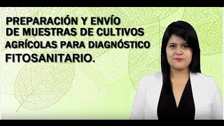 Toma y envío de muestras para diagnostico fitosanitario [upl. by Ekrub360]