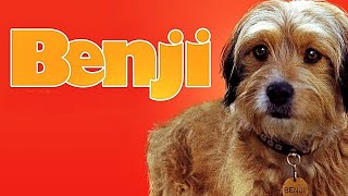 Benji 1974 – Full movie [upl. by Atiuqa117]