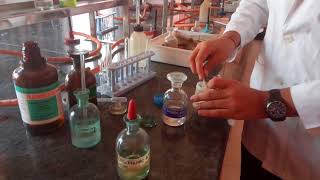 Test for Chloride ion in Lab by Seema Makhijani [upl. by Neerak]