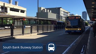 Brisbane TransLink Bus Vlog 2 Buses at South Bank Station [upl. by Ahsilahk913]