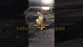 Ce chien ne reconnaît pas sa propriétaire au début de leurs retrouvailles [upl. by Rozanna59]