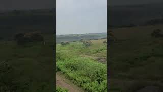 Kasto Mazza Shantanu Moitra कस्तो मजा Kasto Mazza hai railayma Nature Prakrati Forest Nature [upl. by Tronna]