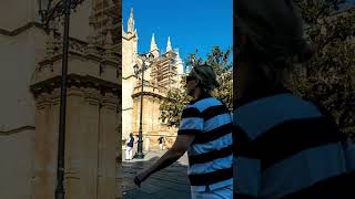 Seville Spain City Tour 2024  Travel Videos youtubeshorts [upl. by Stacy]