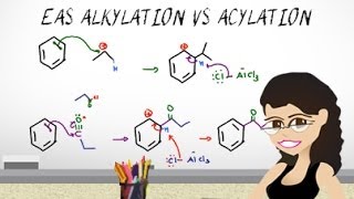 EAS Friedel Crafts Alkylation vs Acylation EAS vid 8 by Leah Fisch [upl. by Annovoj]