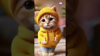 Yellow Beanie Cozy Kitty Vibes 🐱✨ ai cat cute funny catdancer dancingcat catlover ytcat [upl. by Nedmac]