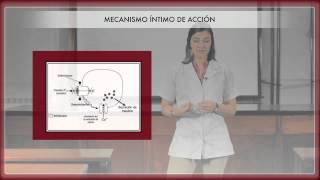 Farmacología de los hipoglucemiantes orales 1ª Parte [upl. by Aes223]