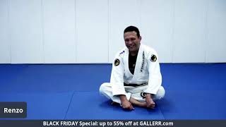 Renzo Gracie Super Seminar [upl. by Clementine]